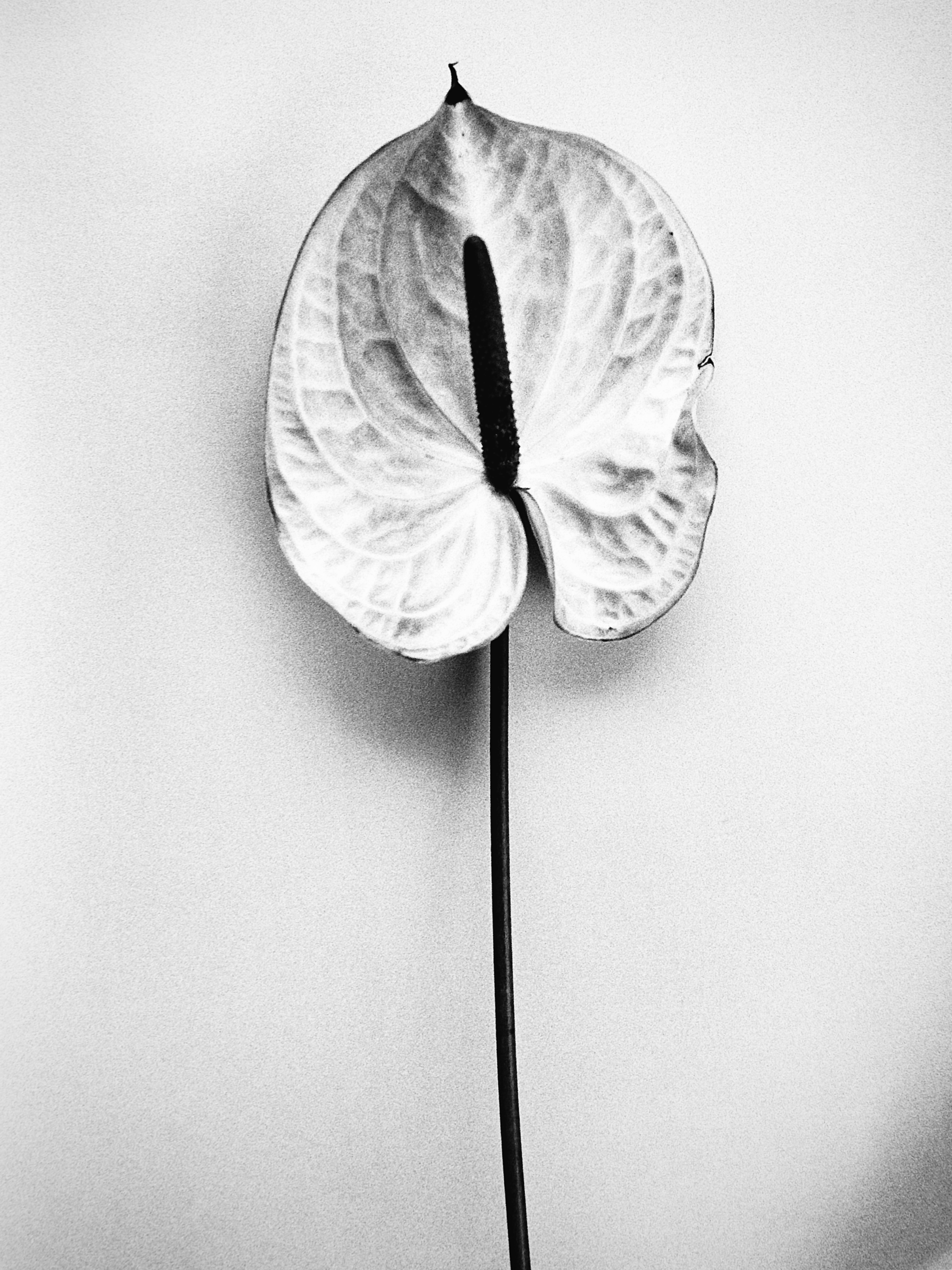 Untitled - May 21, 2026 at 16.16.12