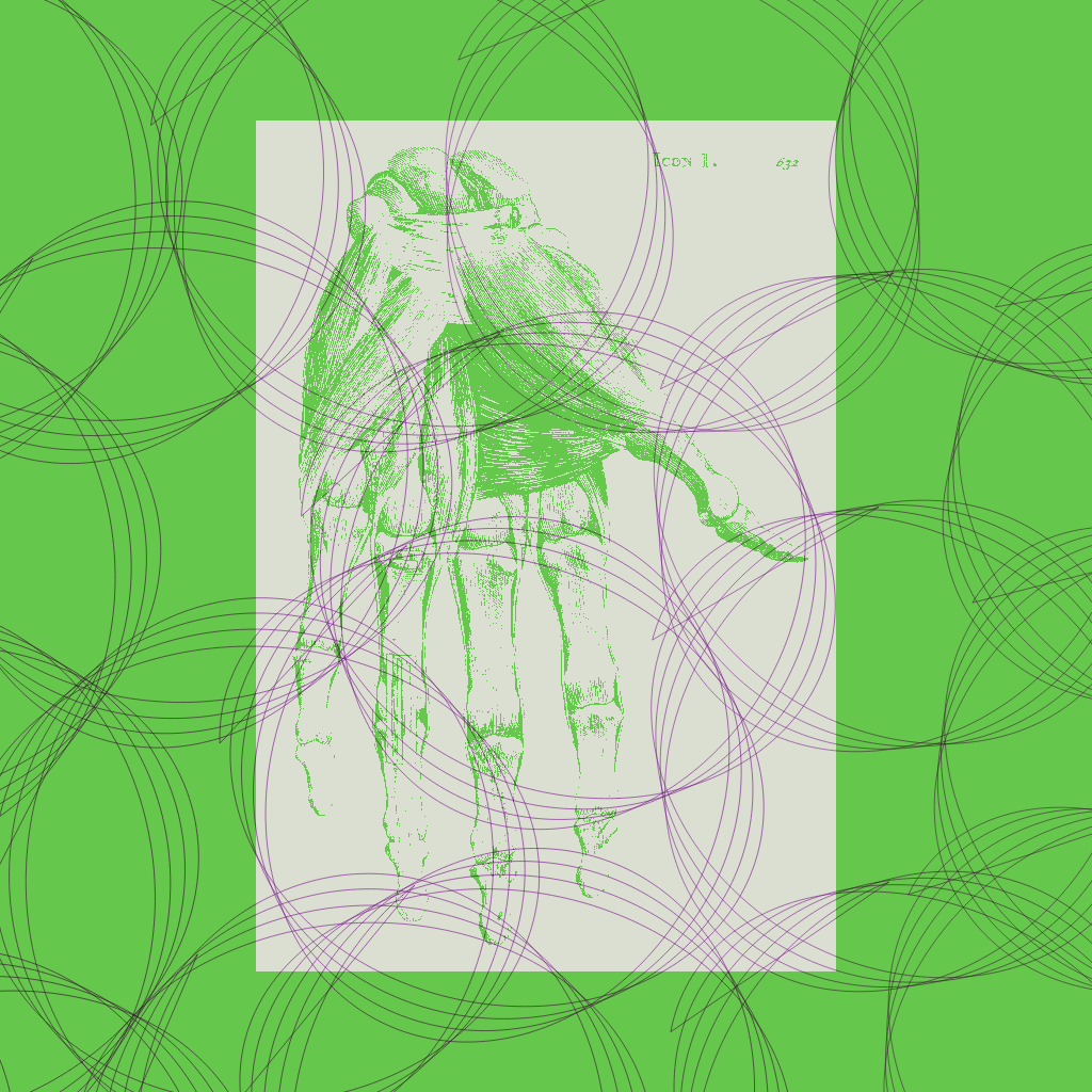 frame_0008_color