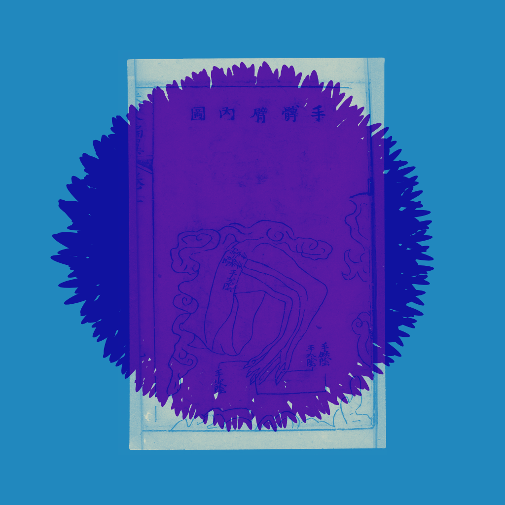 frame_0066_color